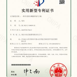 202321308591X一種具有限位調整機構汽車衡